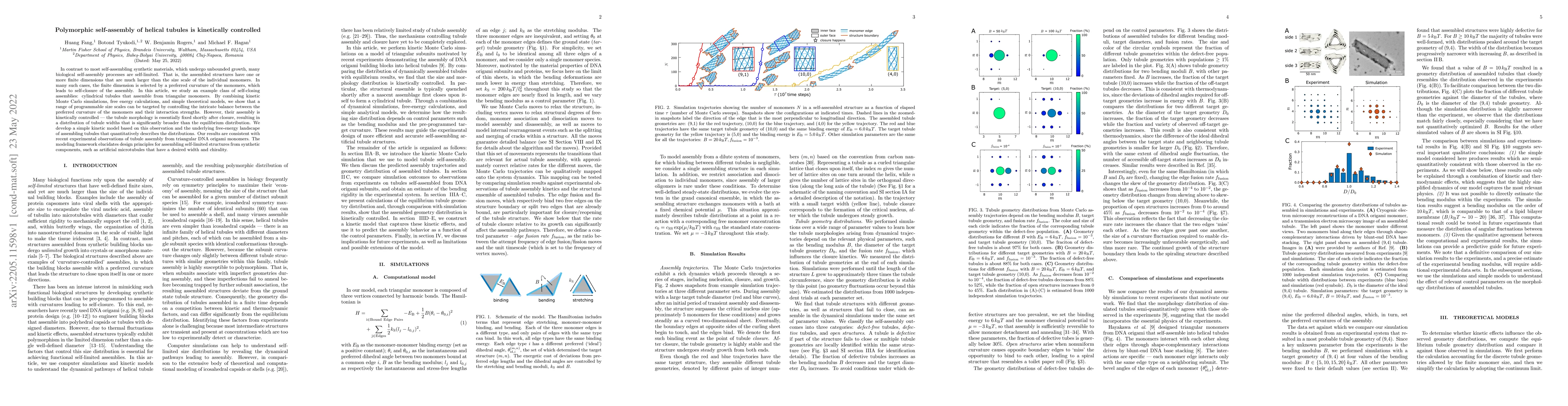 Thumbnail for Polymorphic self-assembly of helical tubules is kinetically controlled