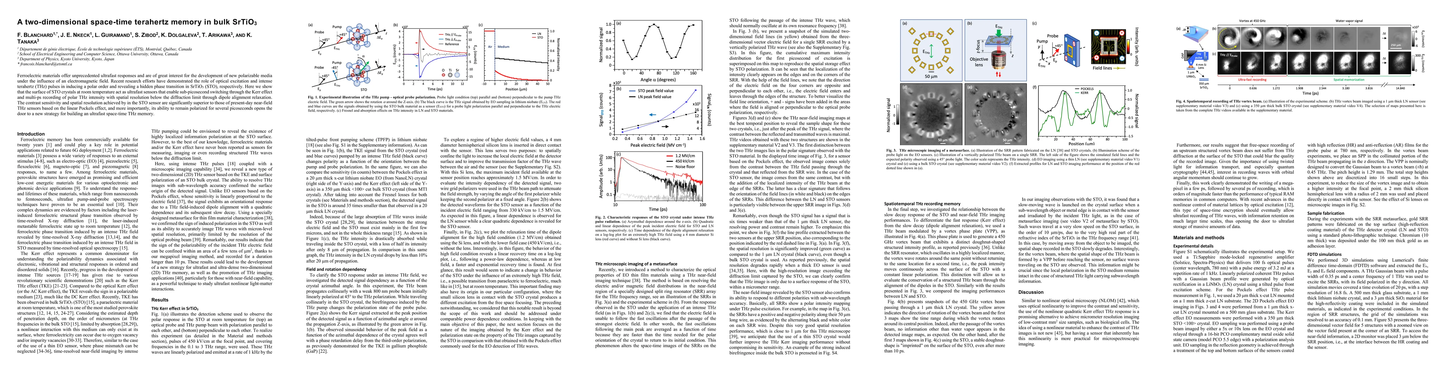 Thumbnail for A two-dimensional space-time terahertz memory in bulk SrTiO3