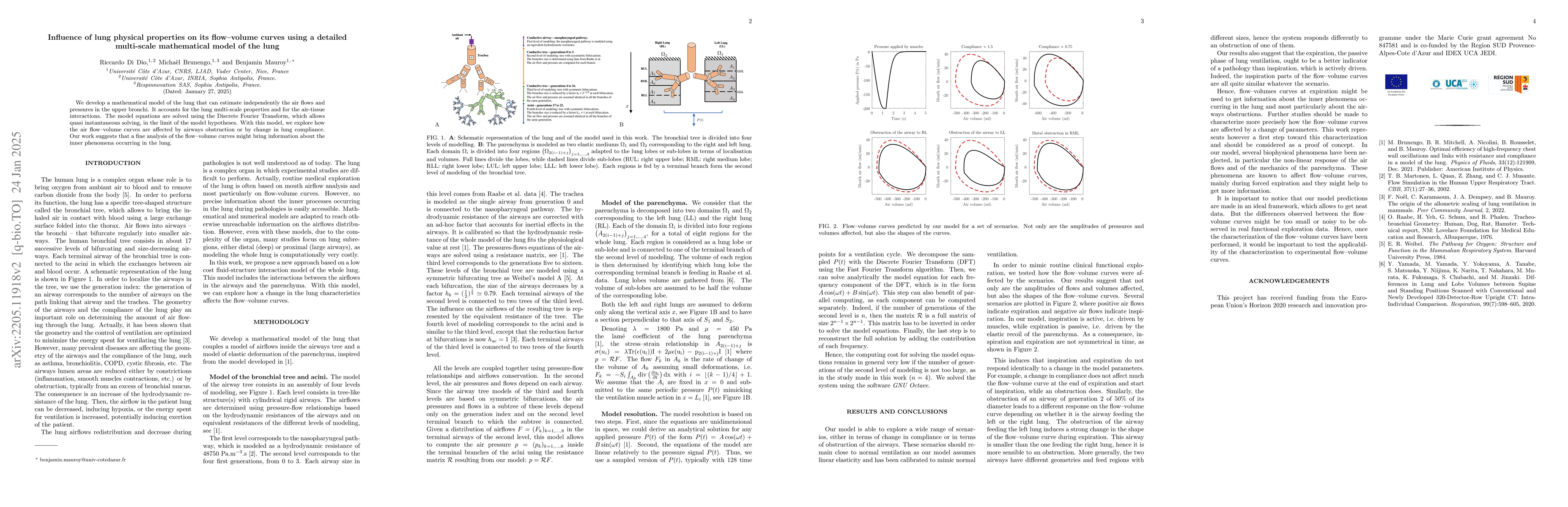 Thumbnail for Influence of lung physical properties on its flow--volume curves using a
  detailed multi-scale mathematical model of the lung