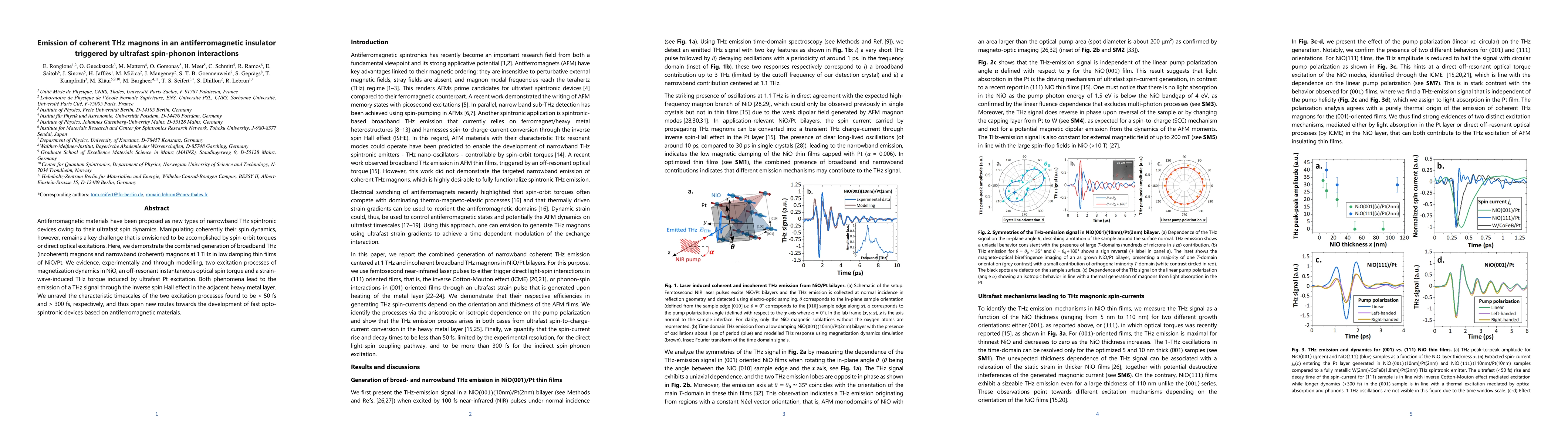 Thumbnail for Emission of coherent THz magnons in an antiferromagnetic insulator
  triggered by ultrafast spin-phonon interactions