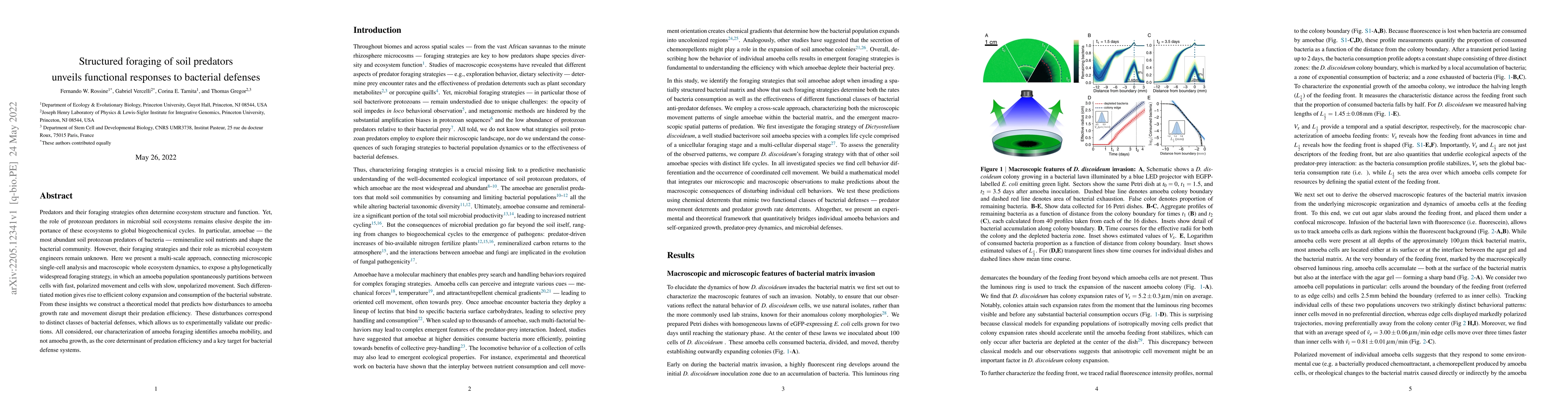 Thumbnail for Structured foraging of soil predators unveils functional responses to
  bacterial defenses