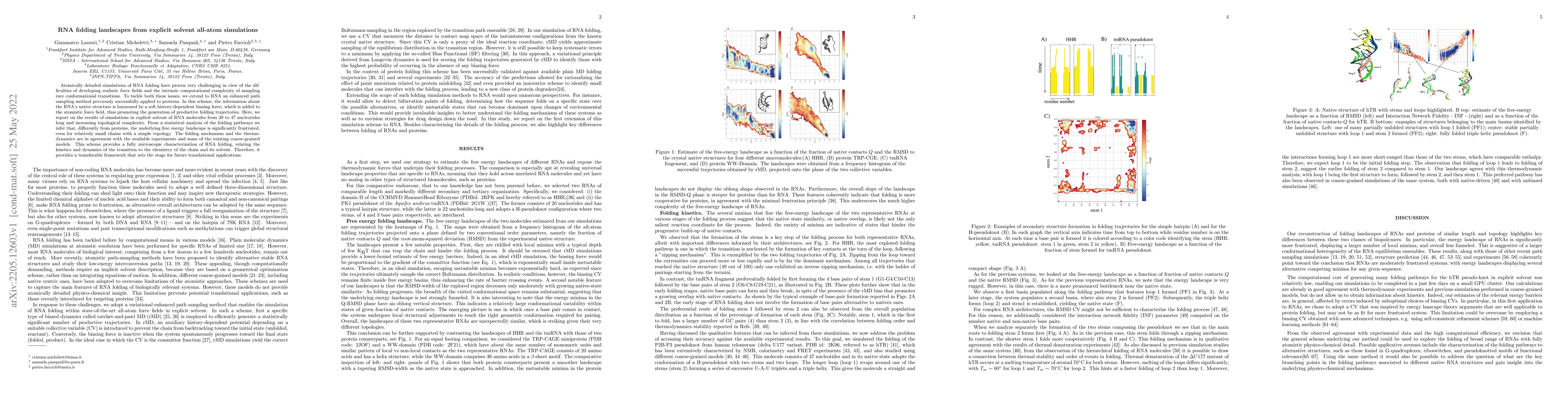 Thumbnail for RNA folding landscapes from explicit solvent all-atom simulations