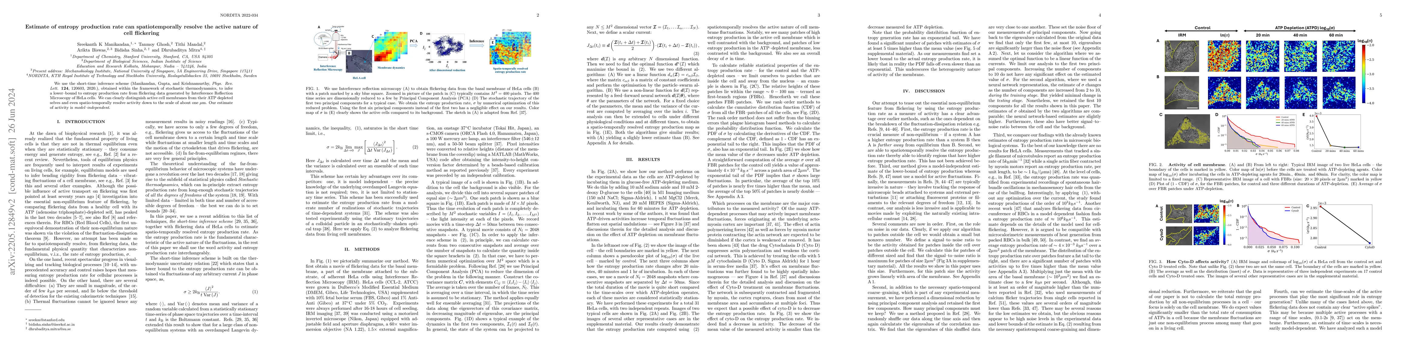 Thumbnail for Estimate of entropy generation rate can spatiotemporally resolve the
  active nature of cell flickering
