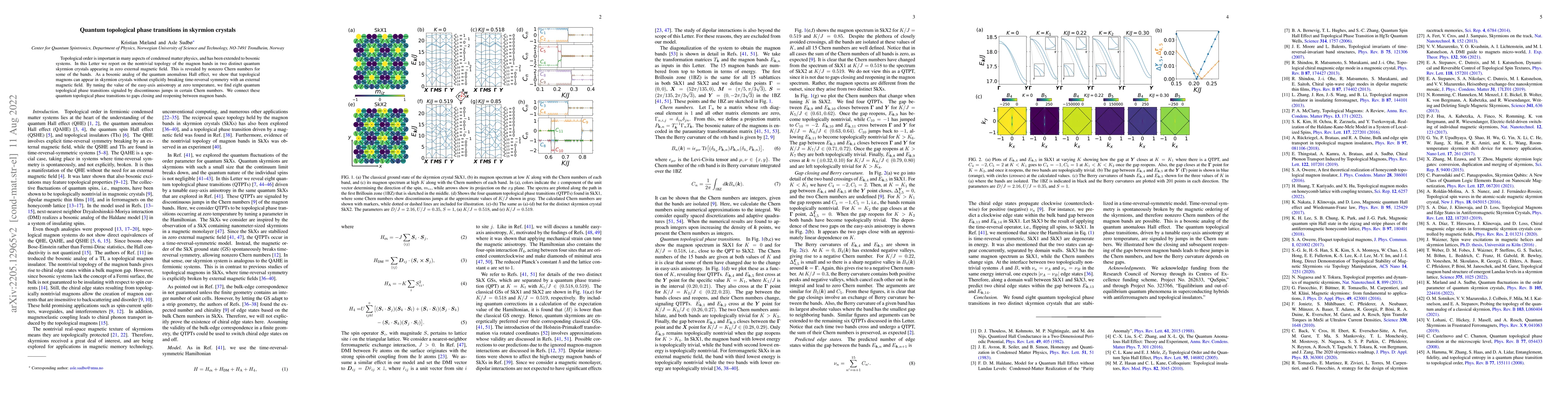 Thumbnail for Quantum topological phase transitions in skyrmion crystals
