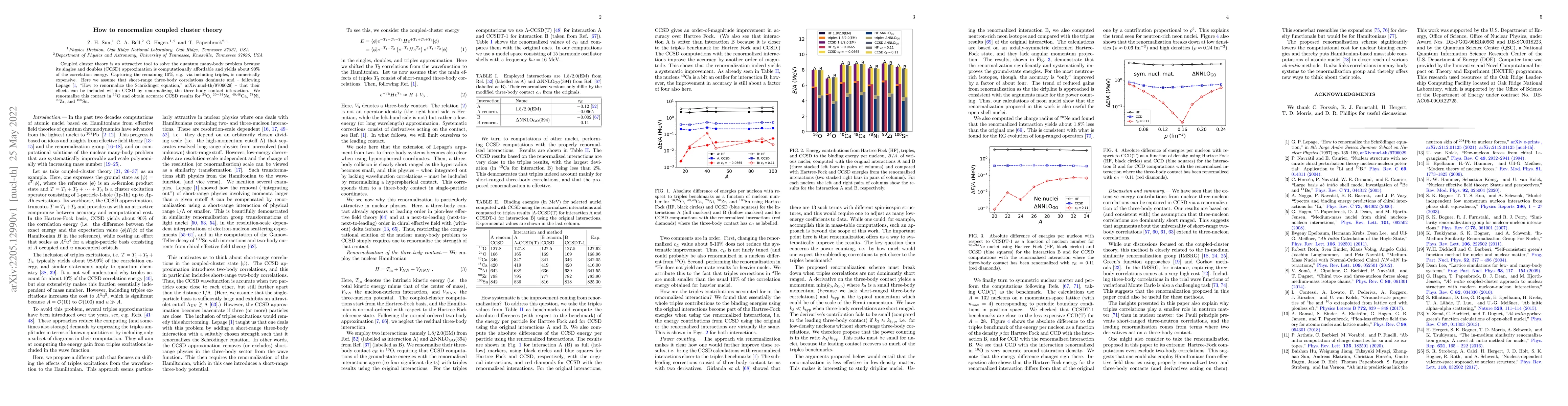 Thumbnail for How to renormalize coupled cluster theory