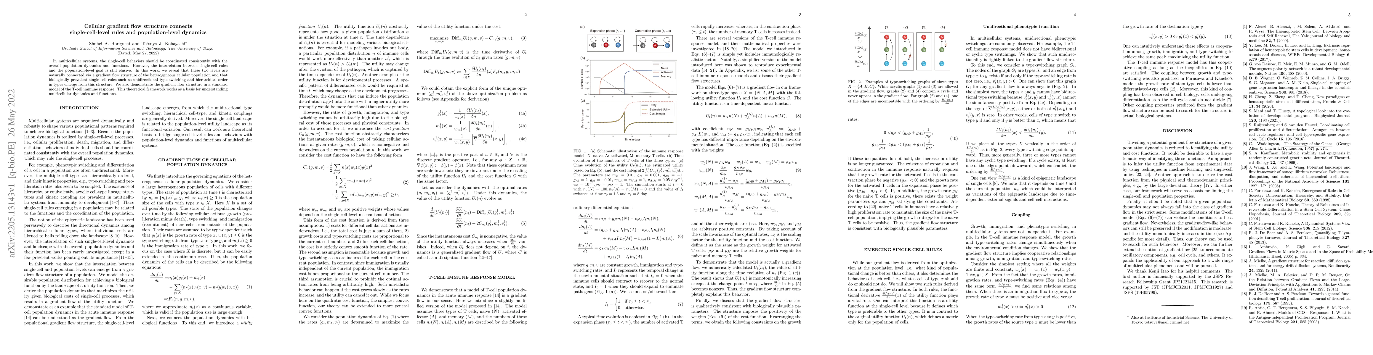 Thumbnail for Cellular gradient flow structure connects single-cell-level rules and
  population-level dynamics