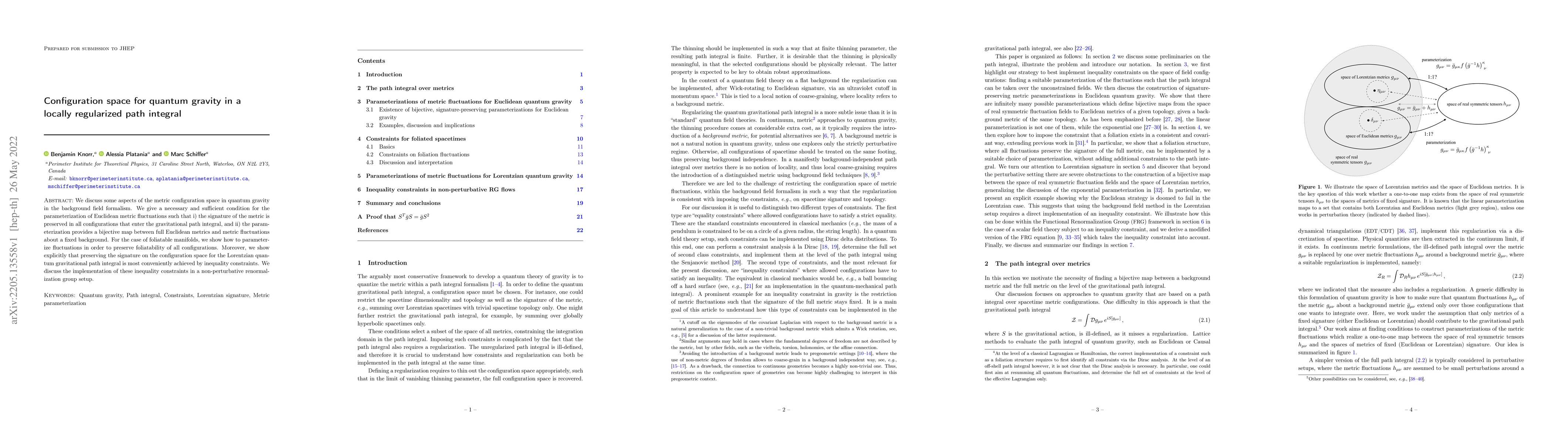 Thumbnail for Configuration space for quantum gravity in a locally regularized path
  integral