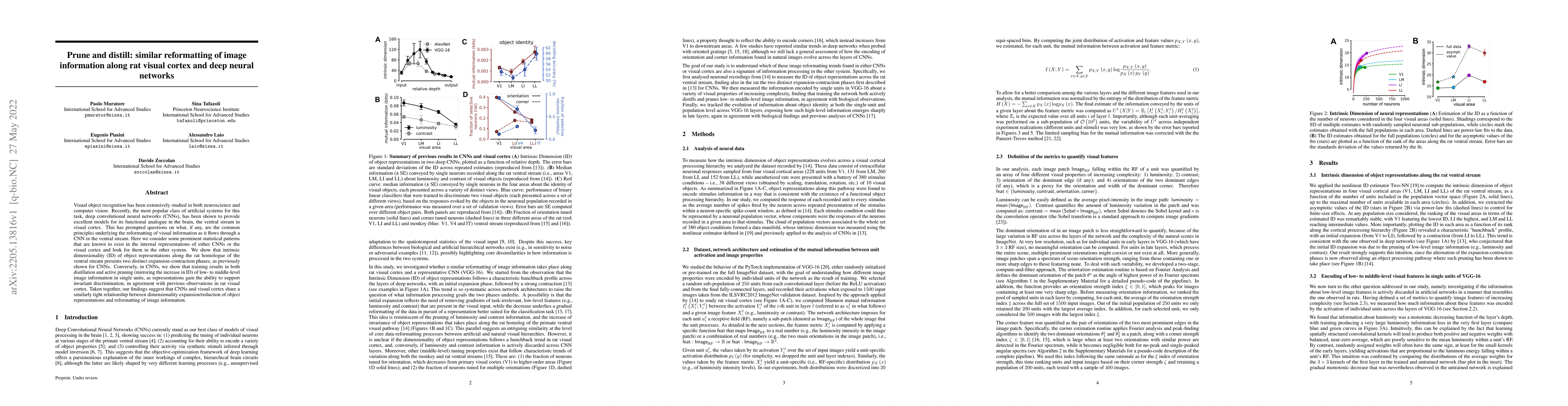 Thumbnail for Prune and distill: similar reformatting of image information along rat
  visual cortex and deep neural networks