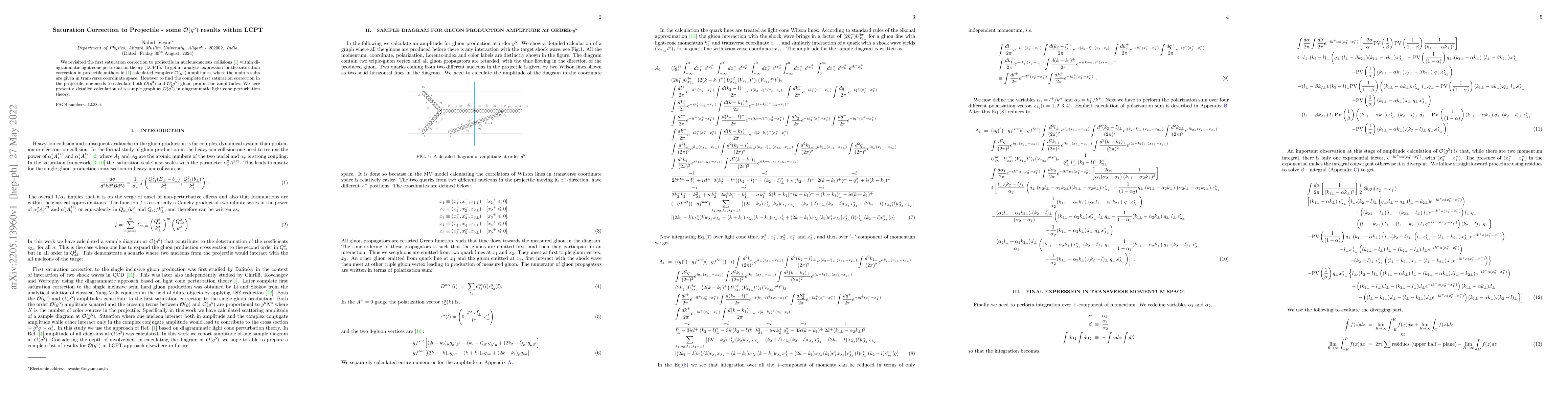 Thumbnail for Saturation Correction to Projectile -- some ${\cal{O}}(g^5)$ results
  within LCPT