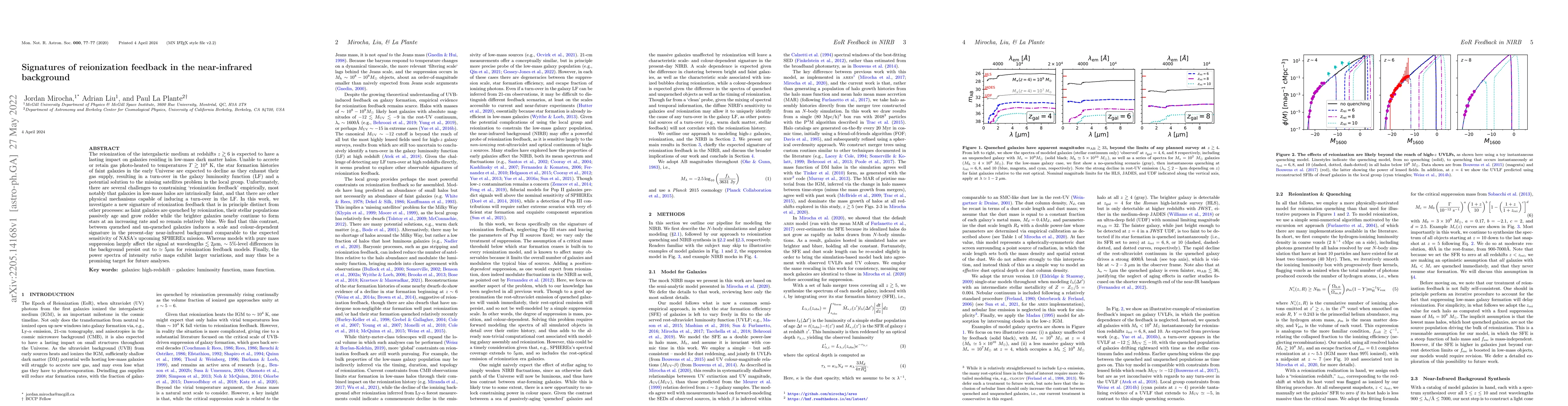 Thumbnail for Signatures of reionization feedback in the near-infrared background