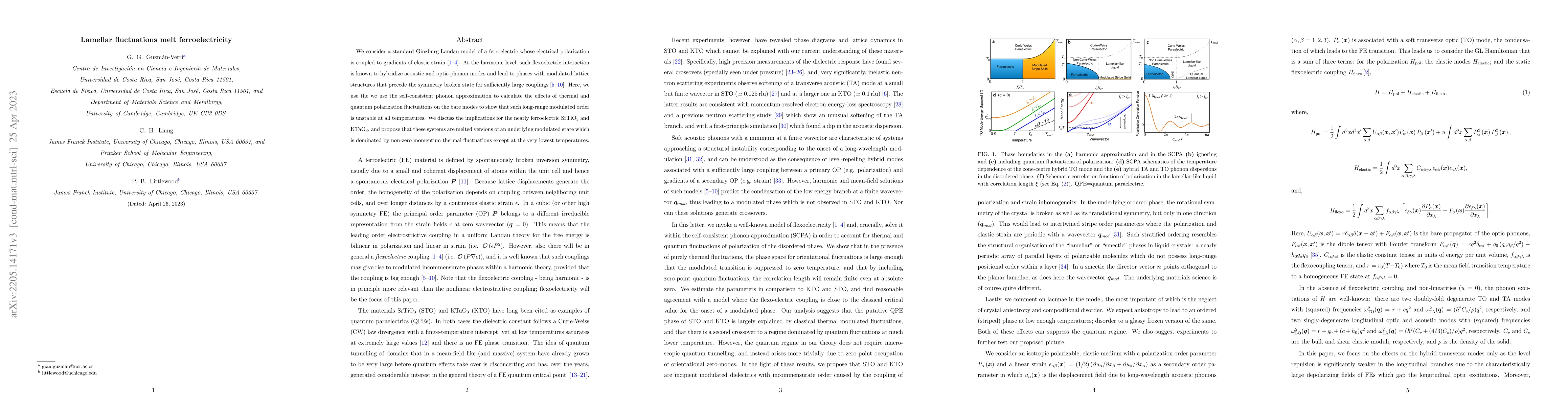 Thumbnail for Lamellar fluctuations melt ferroelectricity