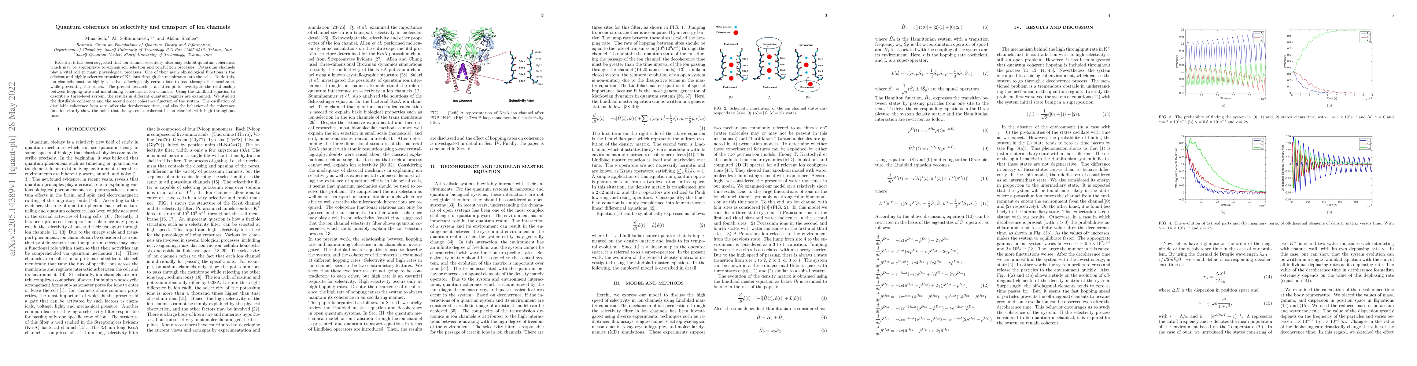 Thumbnail for Quantum coherence on selectivity and transport of ion channels