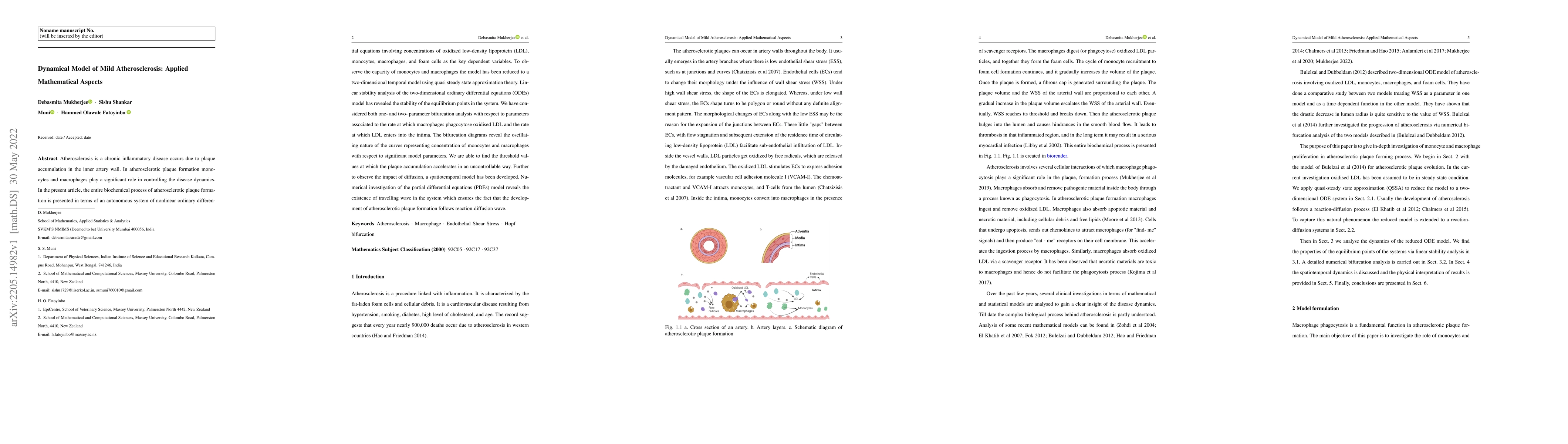 Thumbnail for Dynamical Model of Mild Atherosclerosis: Applied Mathematical Aspects