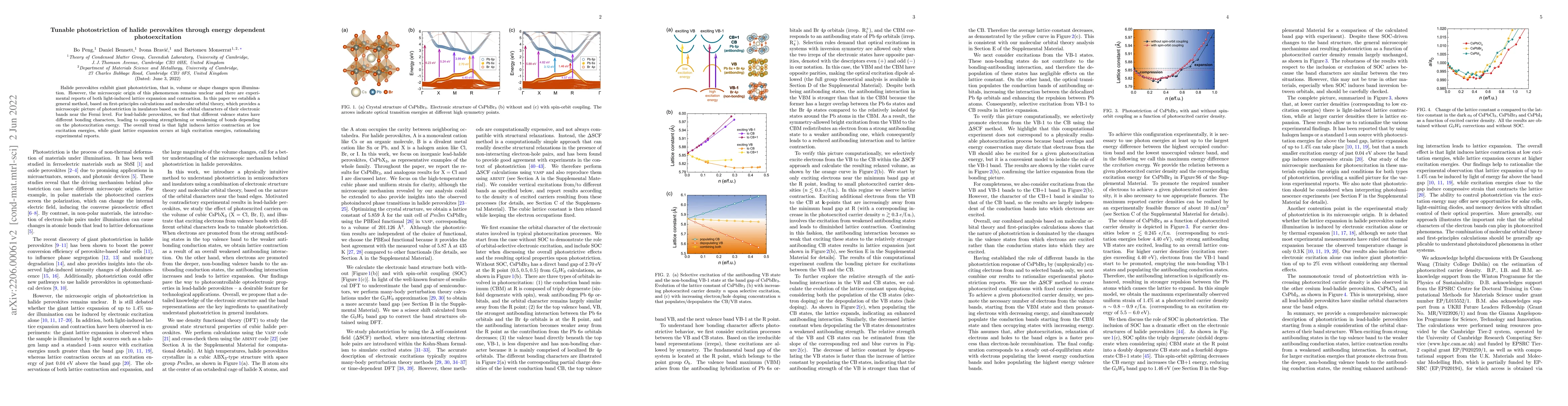 Thumbnail for Tunable photostriction of halide perovskites through energy dependent
  photoexcitation