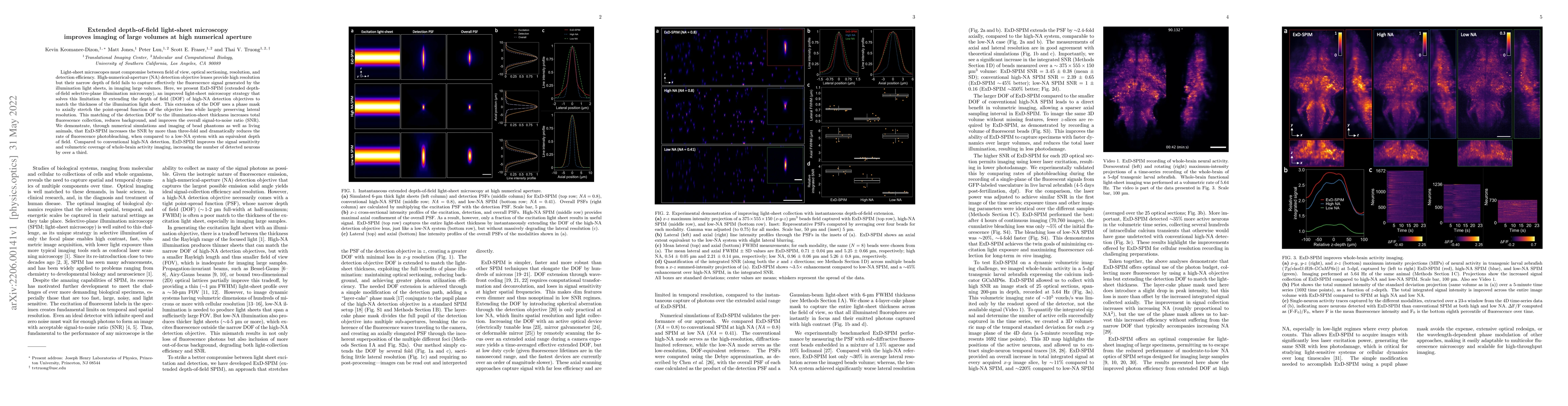 Thumbnail for Extended depth-of-field light-sheet microscopy improves imaging of large
  volumes at high numerical aperture