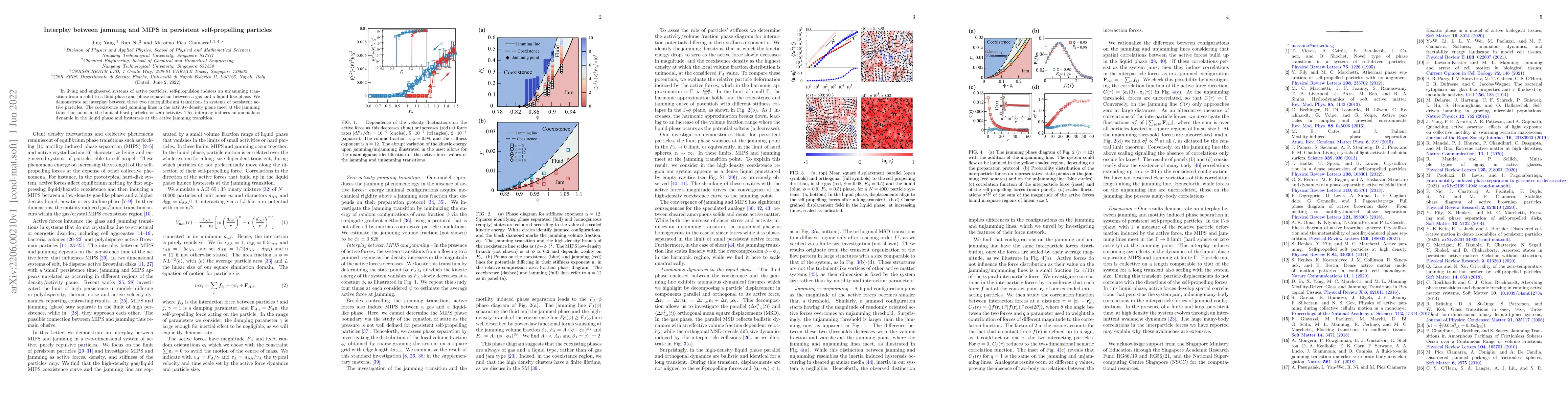 Thumbnail for Interplay between jamming and MIPS in persistent self-propelling
  particles