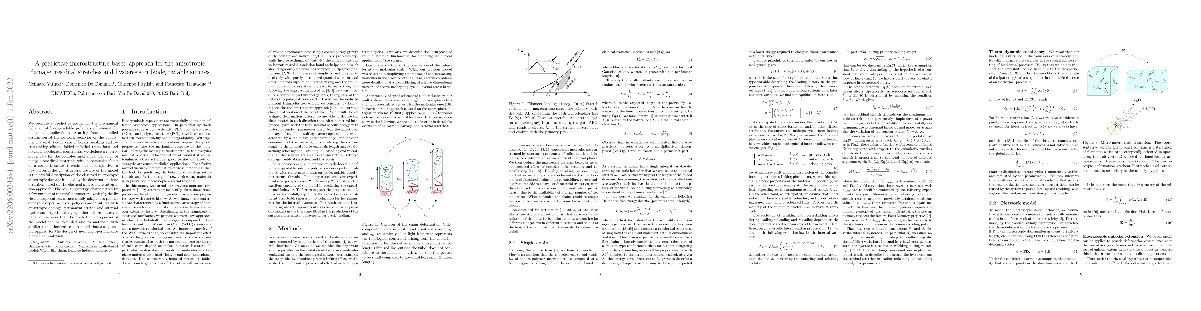 Thumbnail for A predictive microstructure-based approach for the anisotropic damage,
  residual stretches and hysteresis in biodegradable sutures