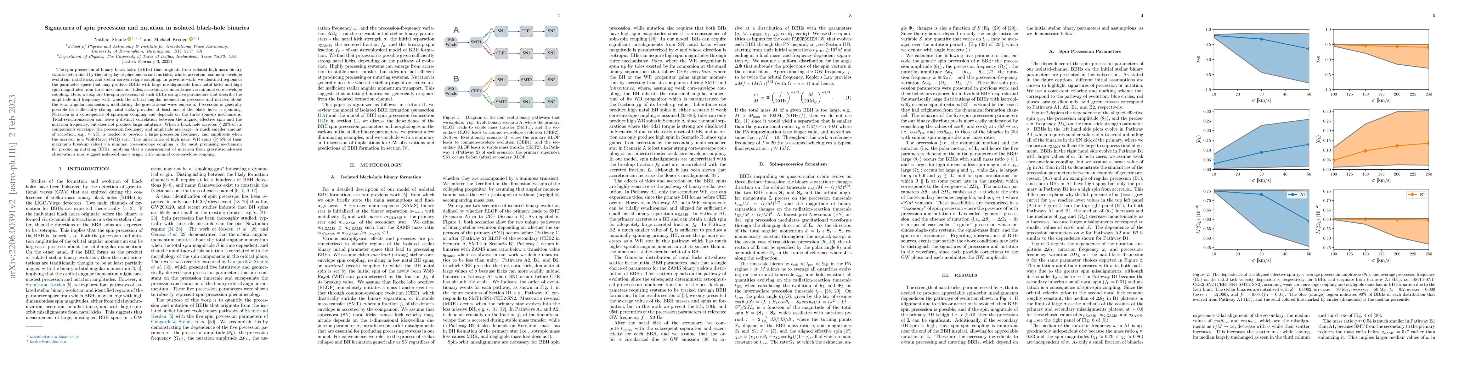 Thumbnail for Signatures of spin precession and nutation in isolated black-hole
  binaries