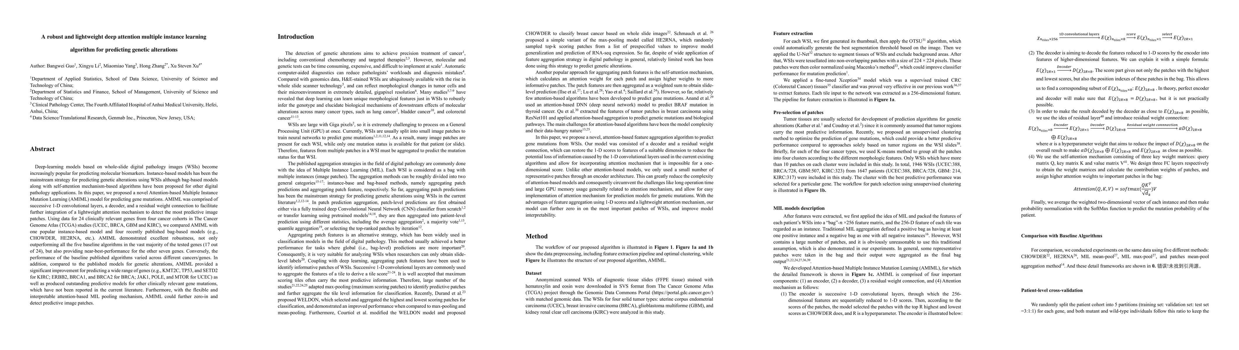 Thumbnail for A robust and lightweight deep attention multiple instance learning
  algorithm for predicting genetic alterations