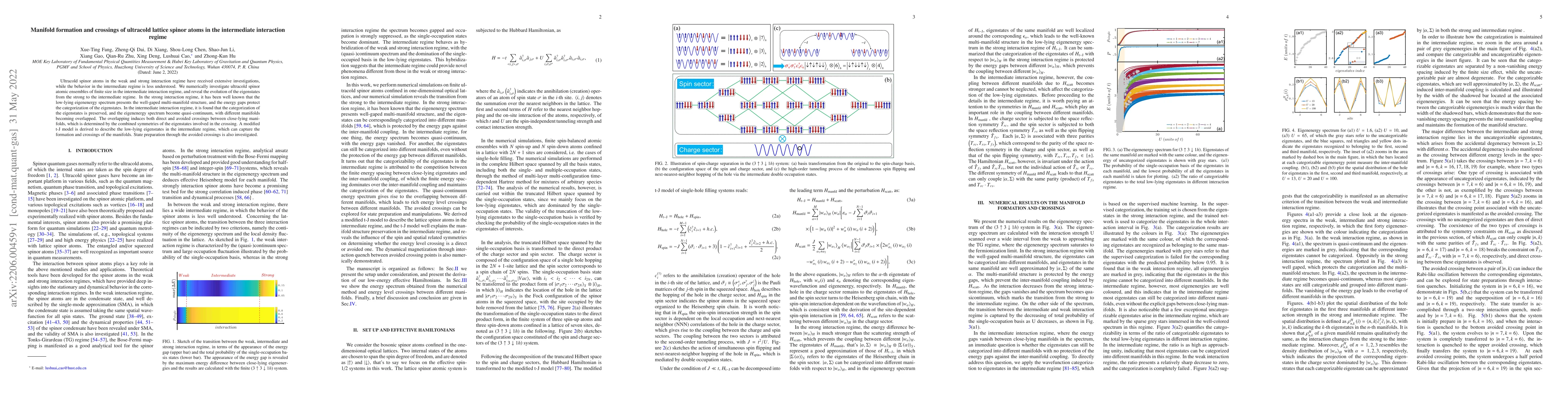 Thumbnail for Manifold formation and crossings of ultracold lattice spinor atoms in
  the intermediate interaction regime