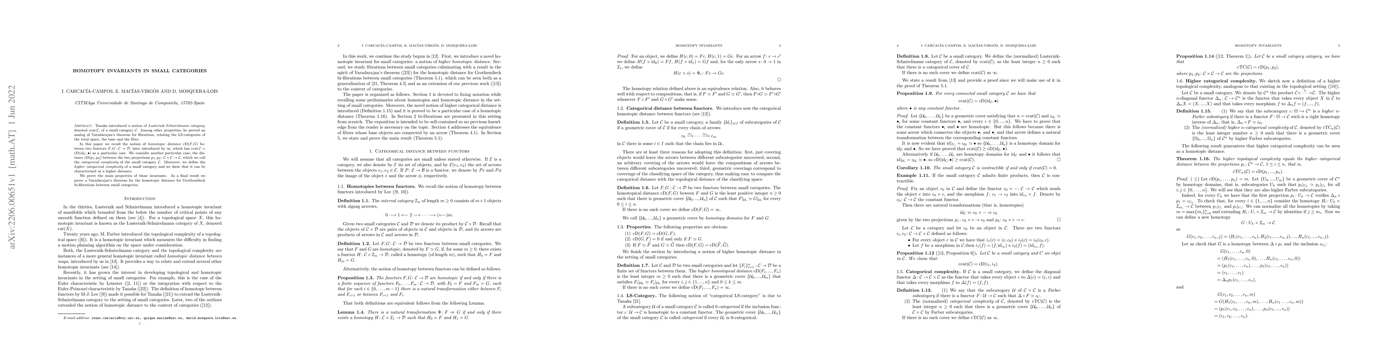 Thumbnail for Homotopy invariants in small categories