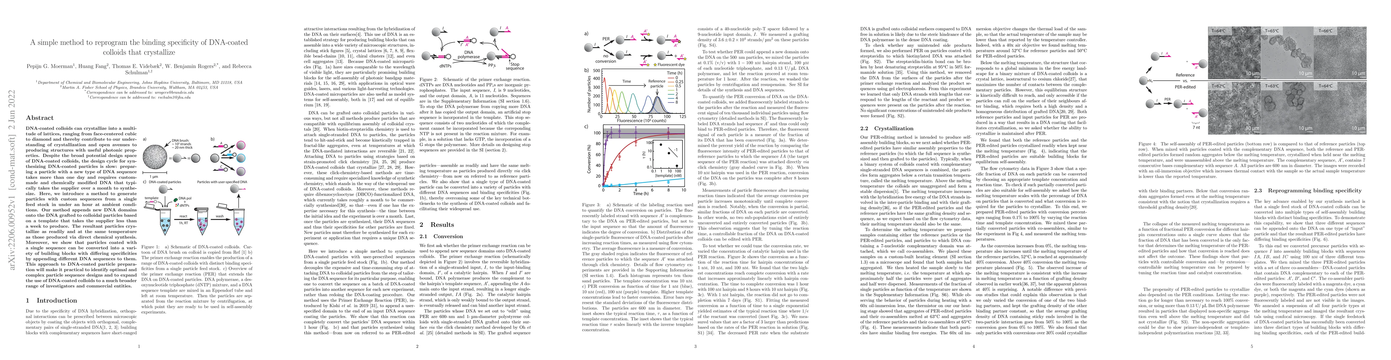 Thumbnail for A simple method to reprogram the binding specificity of DNA-coated
  colloids that crystallize