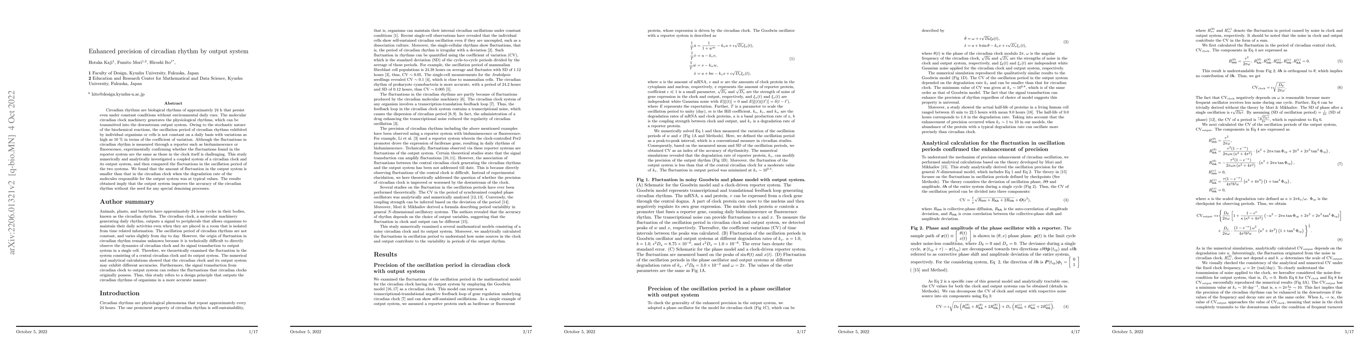 Thumbnail for Enhanced precision of circadian rhythm by output system