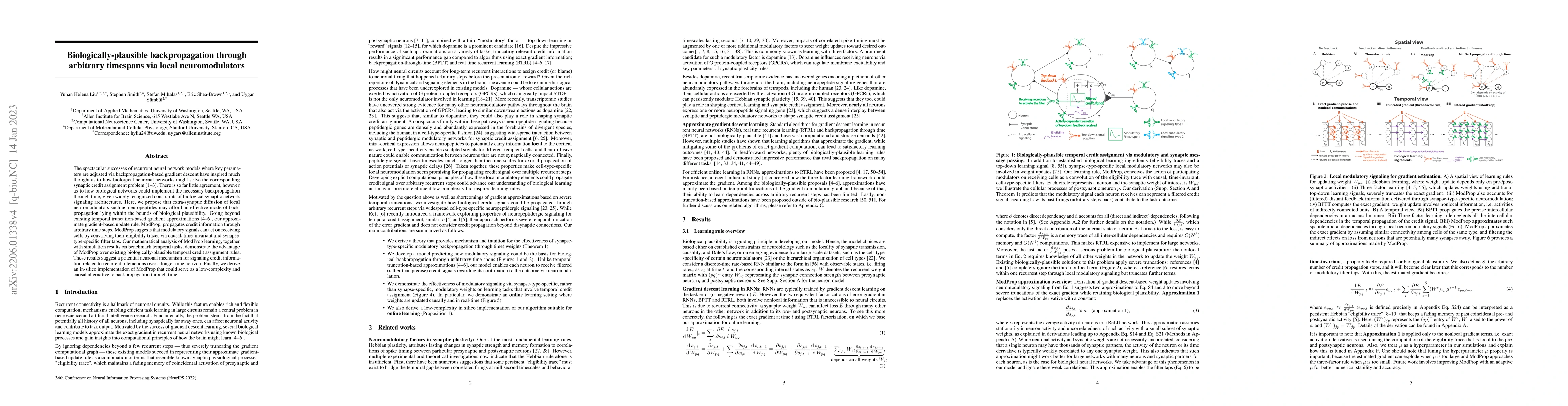 Thumbnail for Biologically-plausible backpropagation through arbitrary timespans via
  local neuromodulators