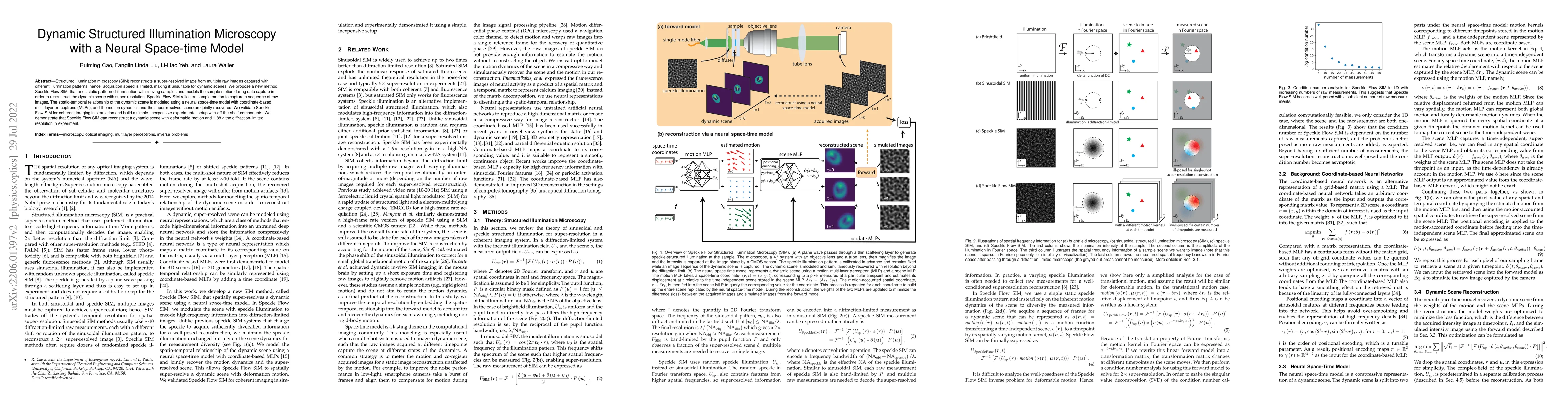 Thumbnail for Dynamic Structured Illumination Microscopy with a Neural Space-time
  Model