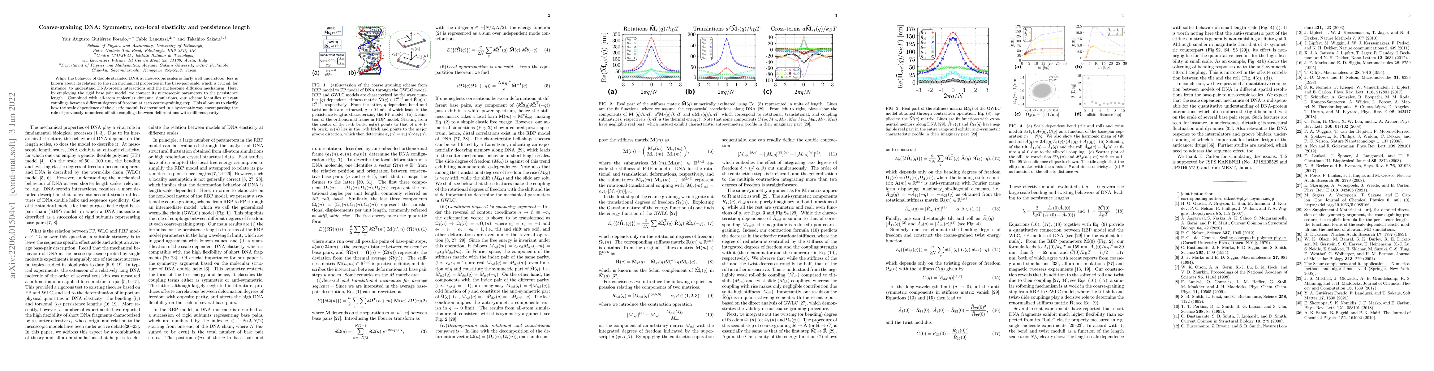 Thumbnail for Coarse-graining DNA: Symmetry, non-local elasticity and persistence
  length