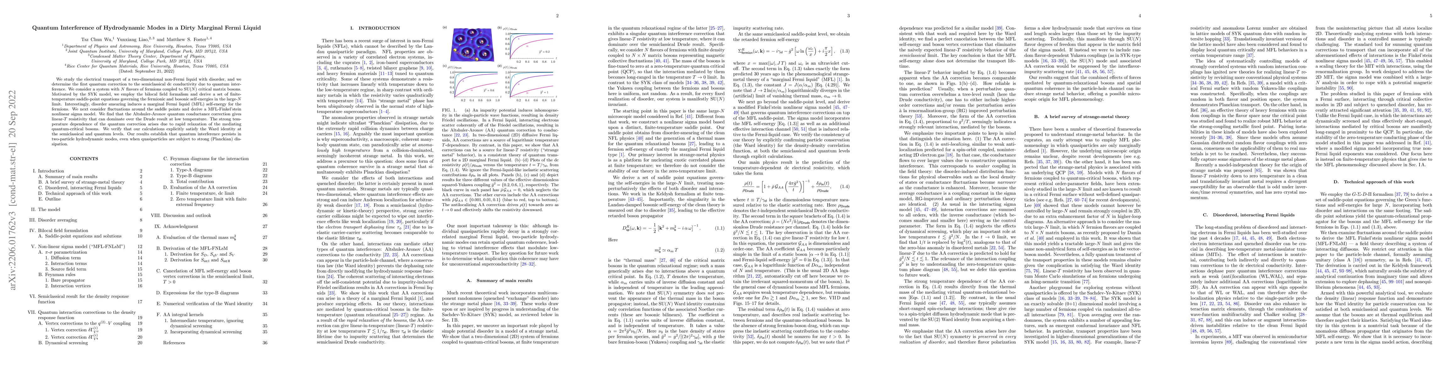 Thumbnail for Quantum Interference of Hydrodynamic Modes in a Dirty Marginal Fermi
  Liquid