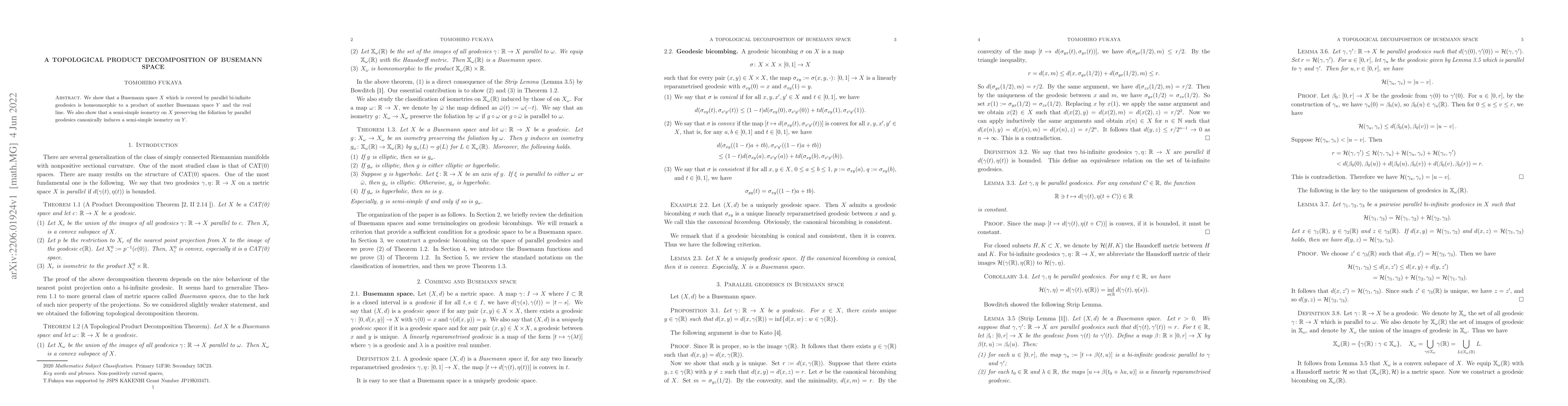 Thumbnail for A topological decomposition of Busemann space