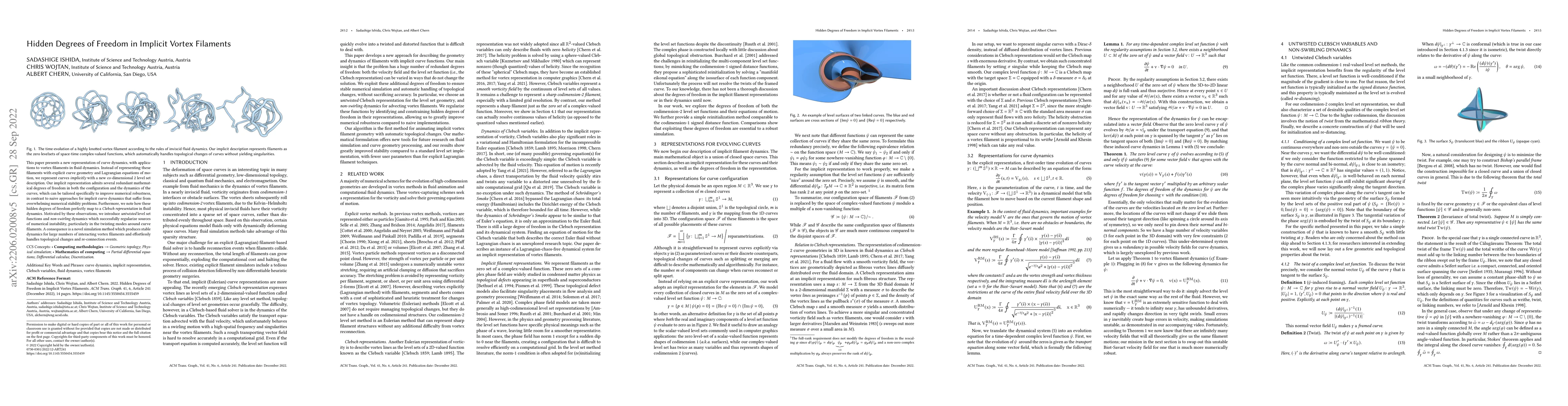 Thumbnail for Hidden Degrees of Freedom in Implicit Vortex Filaments
