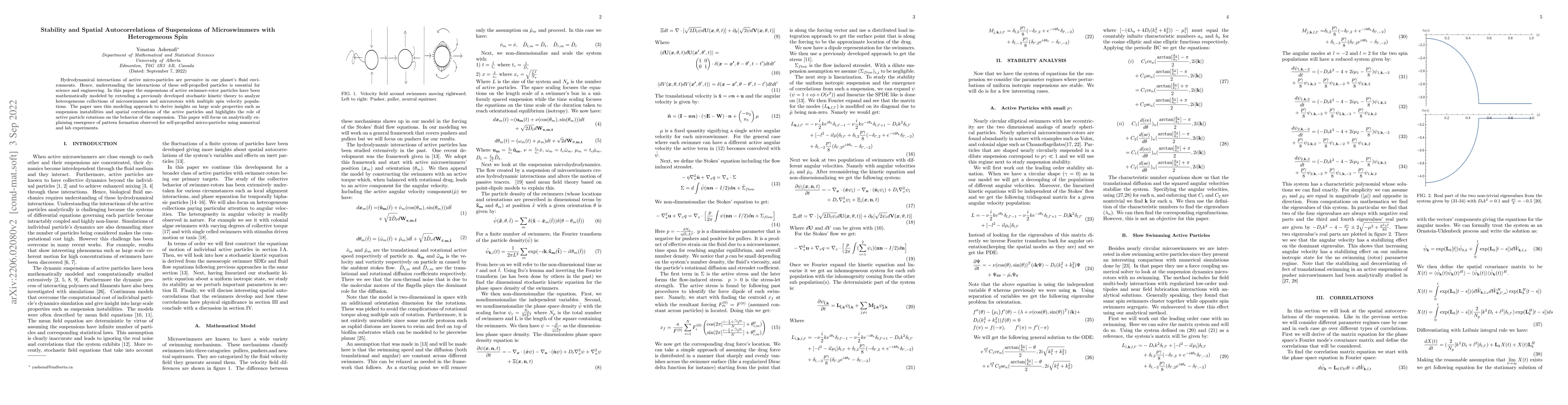 Thumbnail for Stability and Spatial Autocorrelations of Suspensions of Microswimmers
  with Heterogeneous Spin