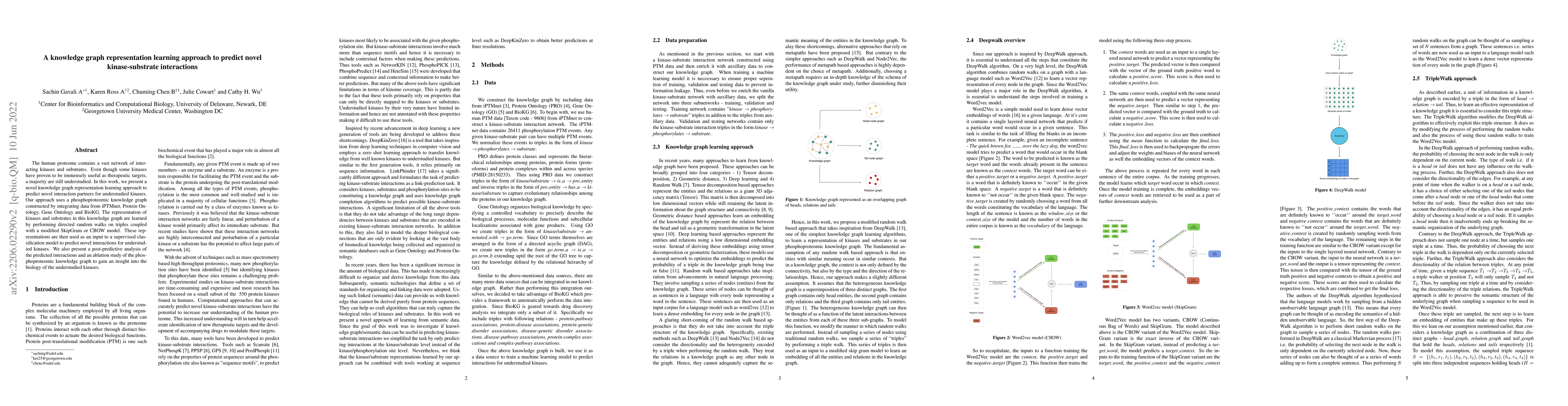Thumbnail for A knowledge graph representation learning approach to predict novel
  kinase-substrate interactions