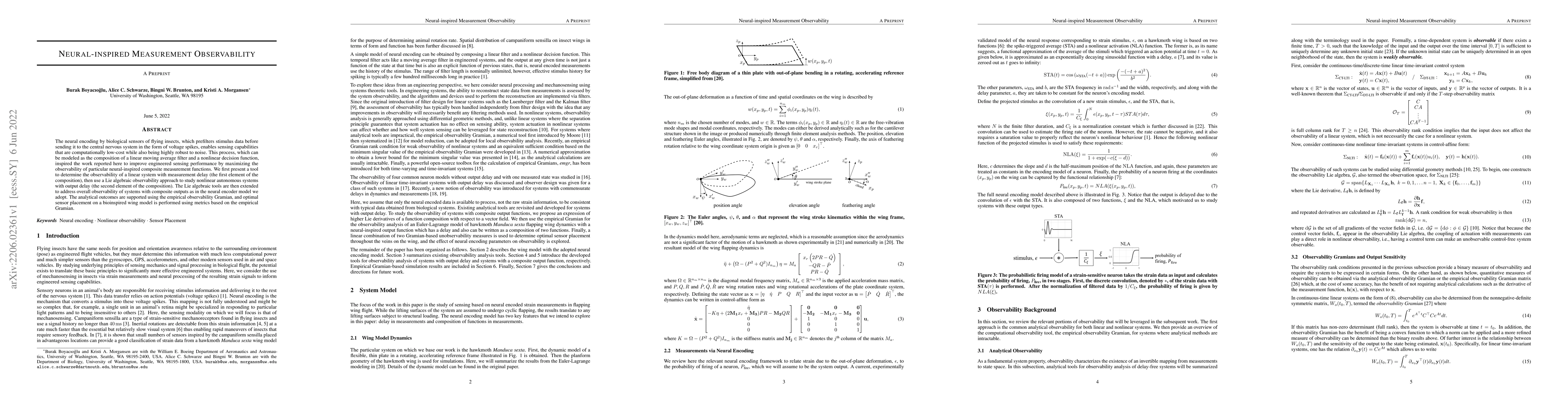 Thumbnail for Neural-inspired Measurement Observability