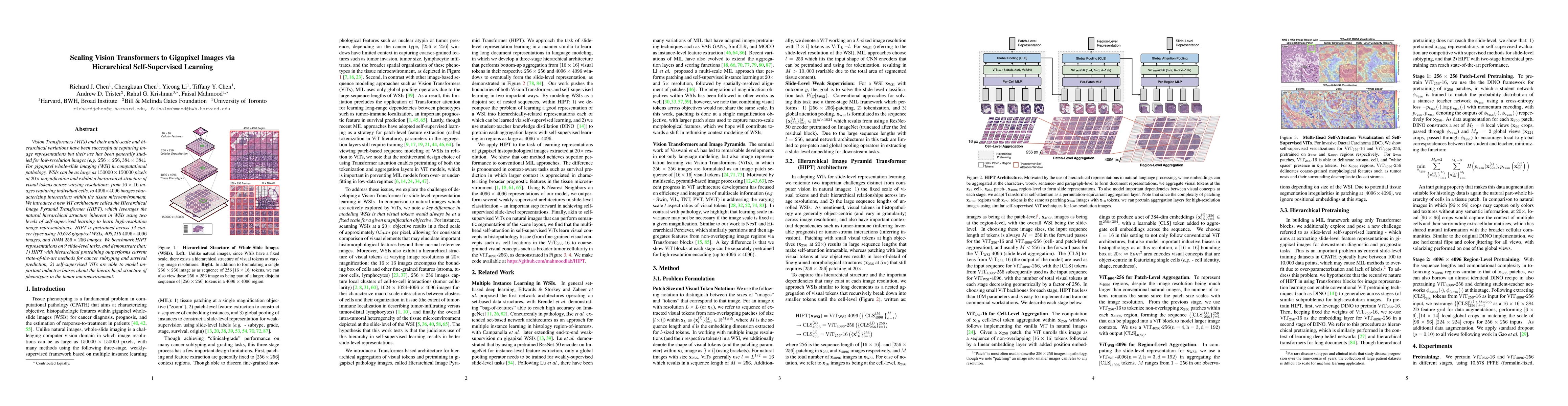 Thumbnail for Scaling Vision Transformers to Gigapixel Images via Hierarchical
  Self-Supervised Learning