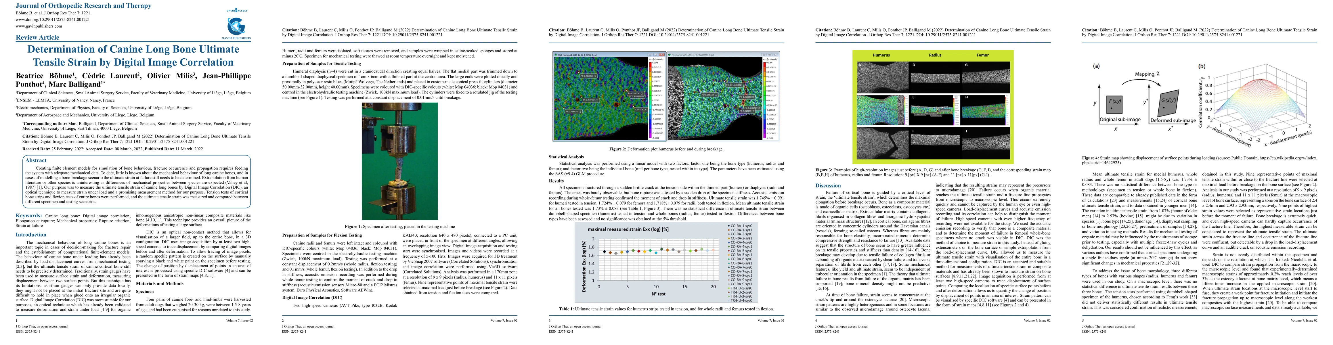 Thumbnail for Determination of Canine Long Bone Ultimate Tensile Strain by Digital
  Image Correlation