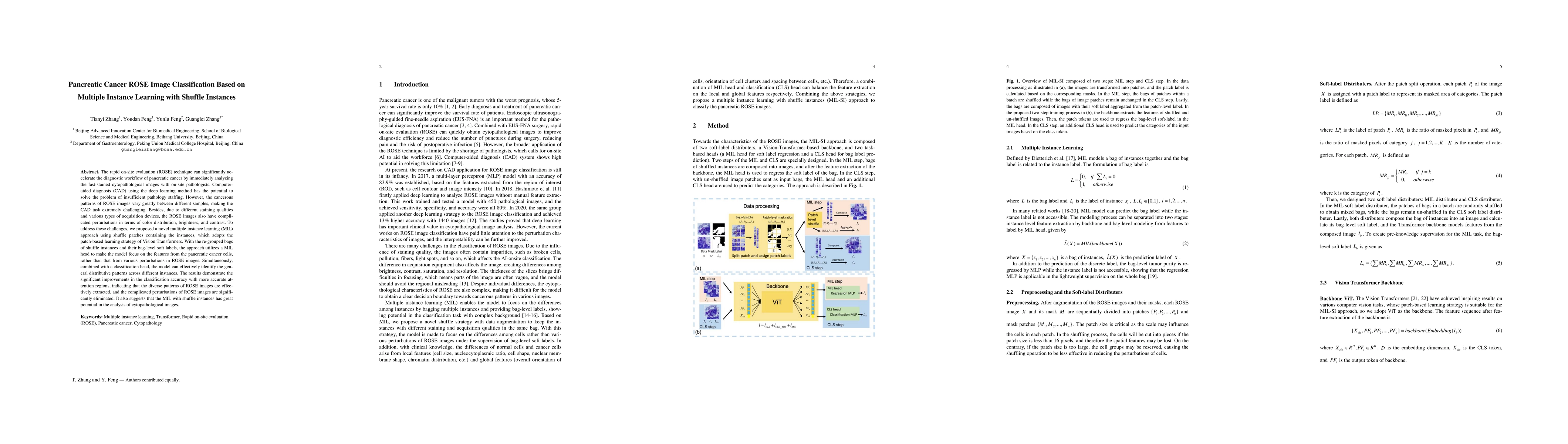 Thumbnail for Pancreatic Cancer ROSE Image Classification Based on Multiple Instance
  Learning with Shuffle Instances