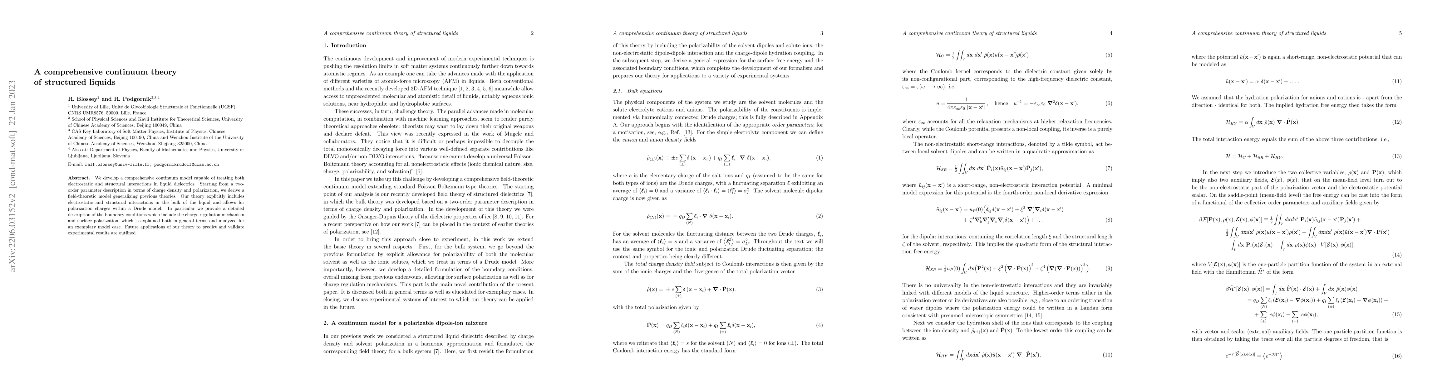 Thumbnail for A comprehensive continuum theory of structured liquids