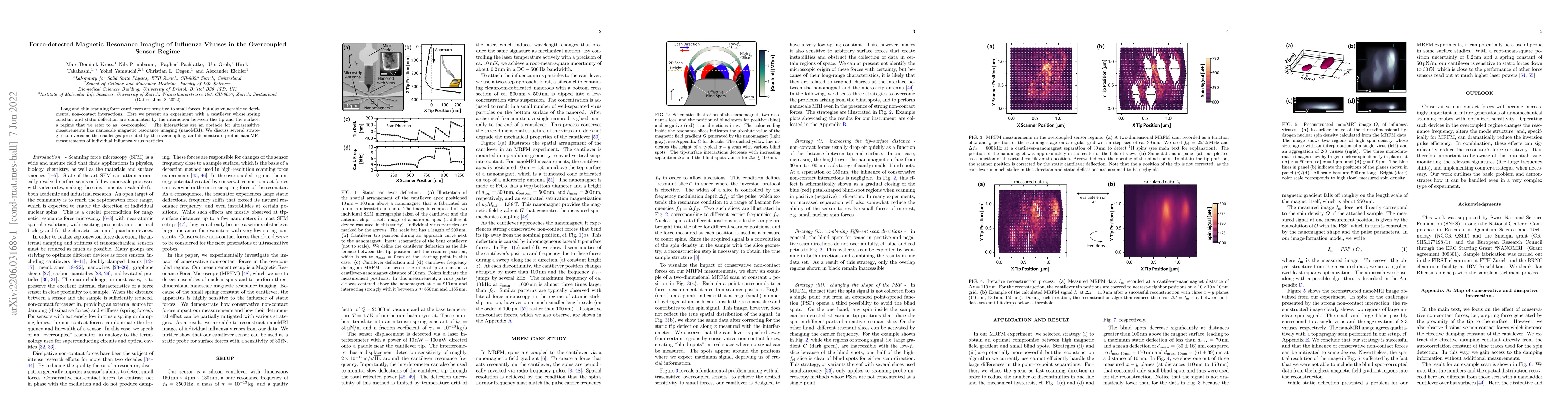 Thumbnail for Force-detected Magnetic Resonance Imaging of Influenza Viruses in the
  Overcoupled Sensor Regime