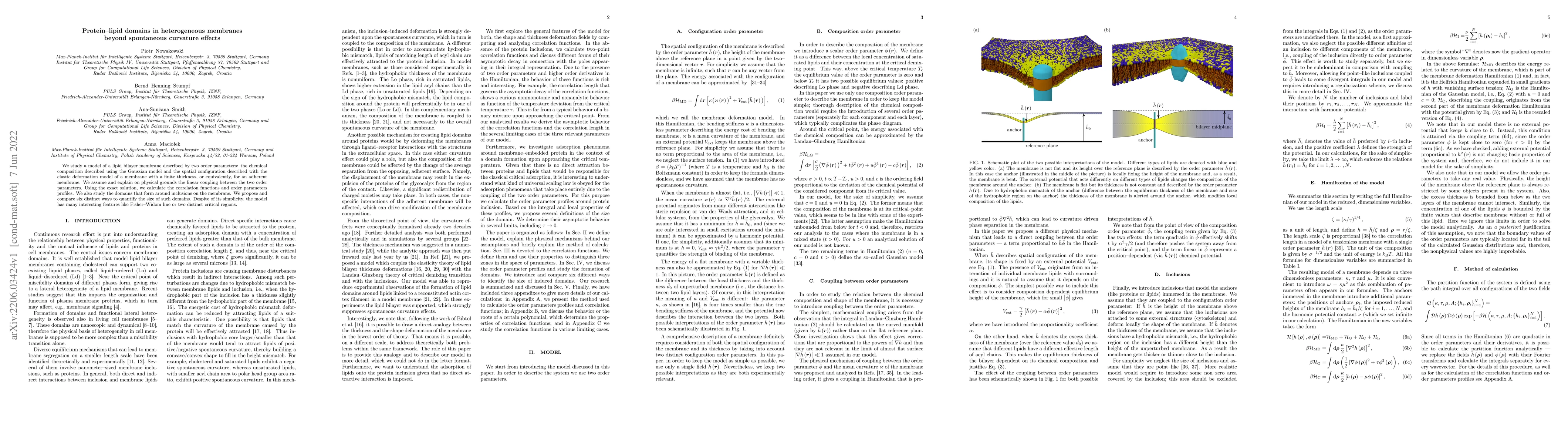 Thumbnail for Protein-lipid domains in heterogeneous membranes beyond spontaneous
  curvature effects