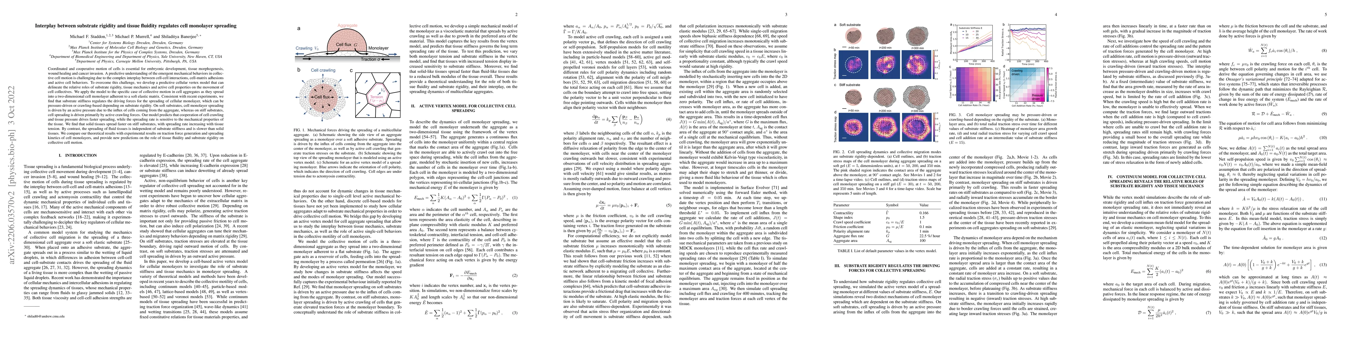 Thumbnail for Interplay between substrate rigidity and tissue fluidity regulates cell
  monolayer spreading