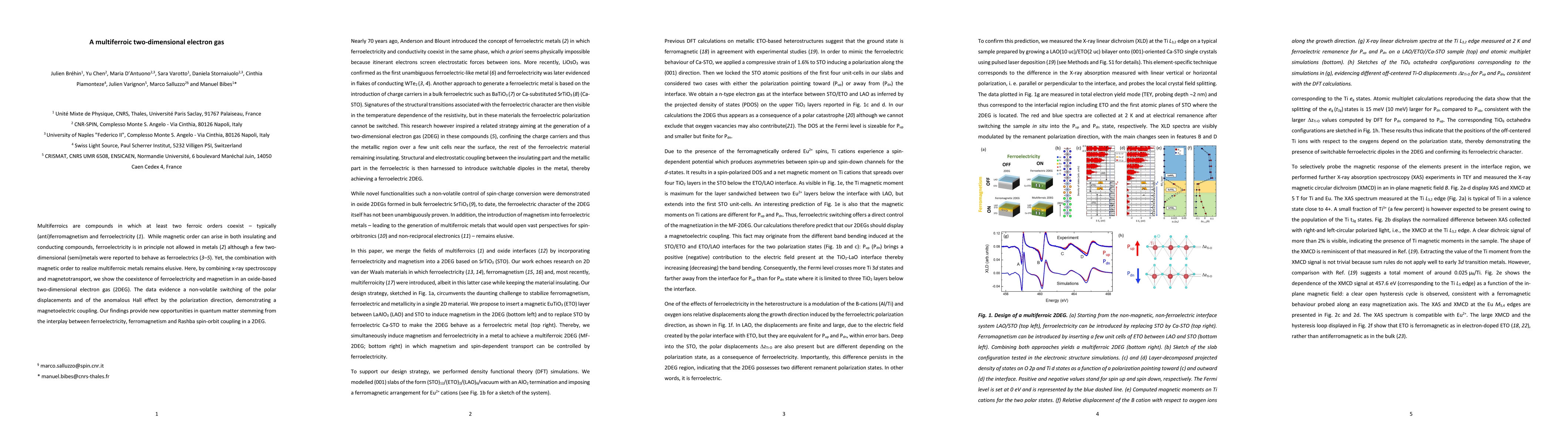 Thumbnail for A multiferroic two-dimensional electron gas