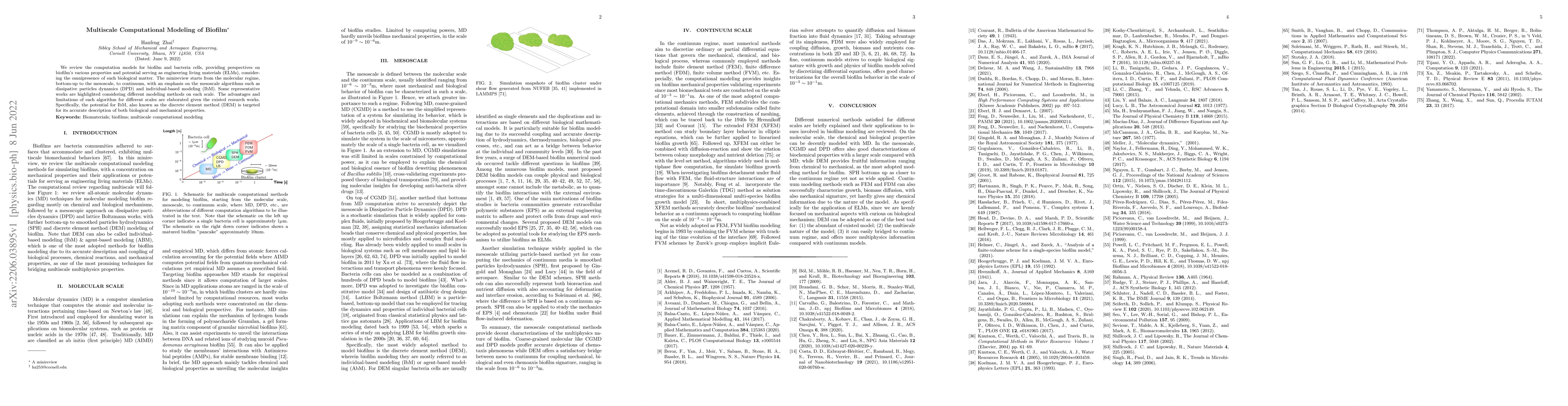 Thumbnail for Multiscale Computational Modeling of Biofilm