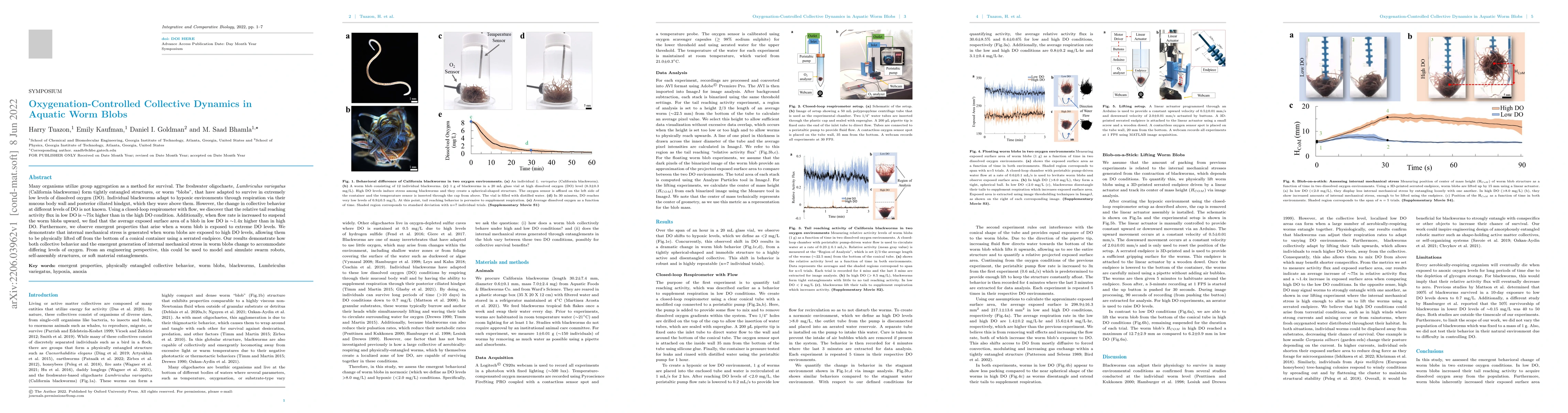 Thumbnail for Oxygenation-Controlled Collective Dynamics in Aquatic Worm Blobs