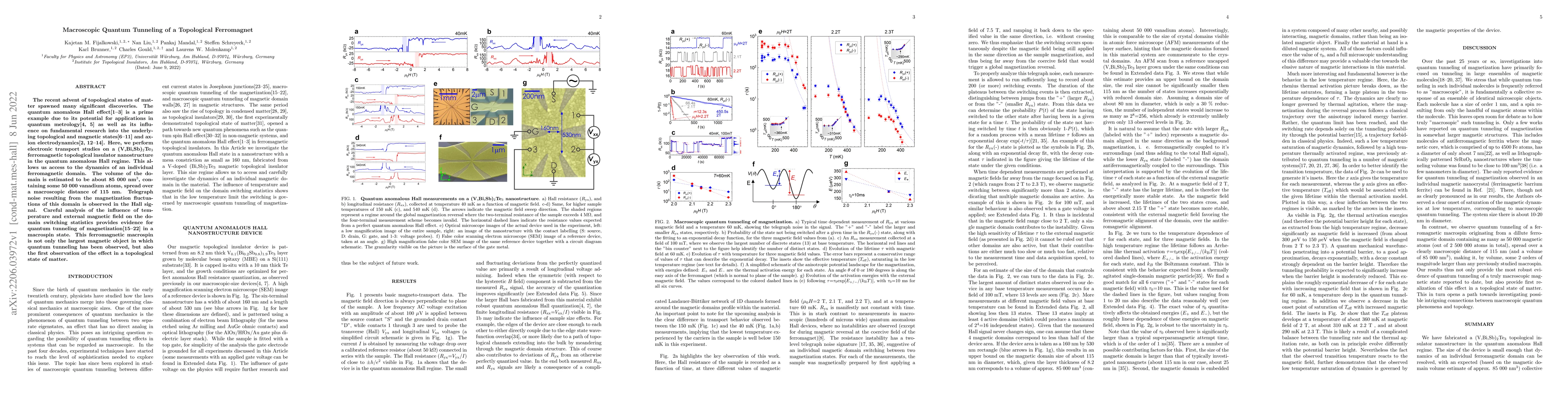 Thumbnail for Macroscopic Quantum Tunneling of a Topological Ferromagnet