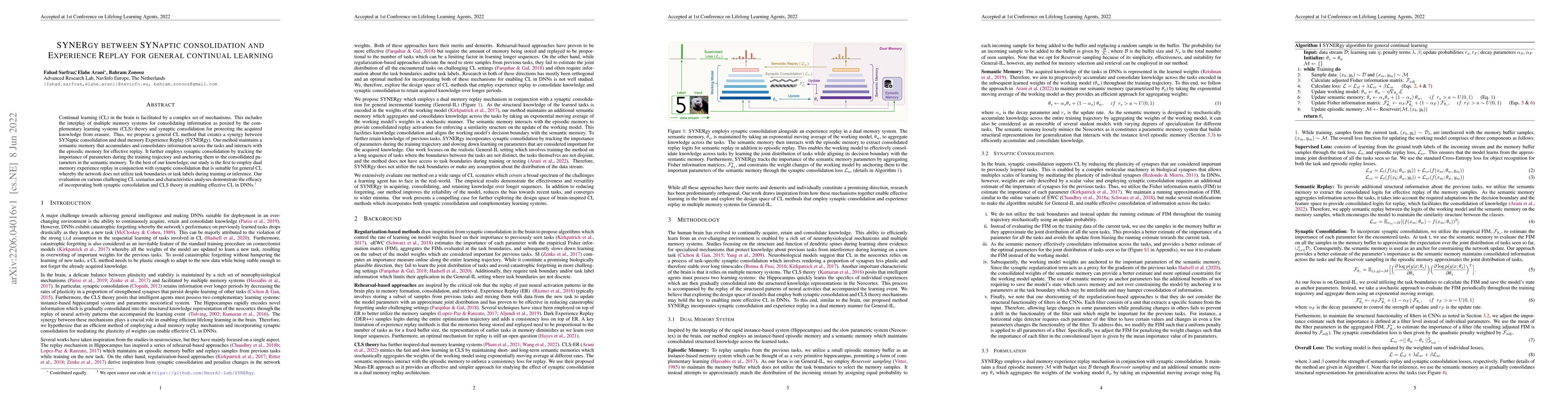 Thumbnail for SYNERgy between SYNaptic consolidation and Experience Replay for general
  continual learning