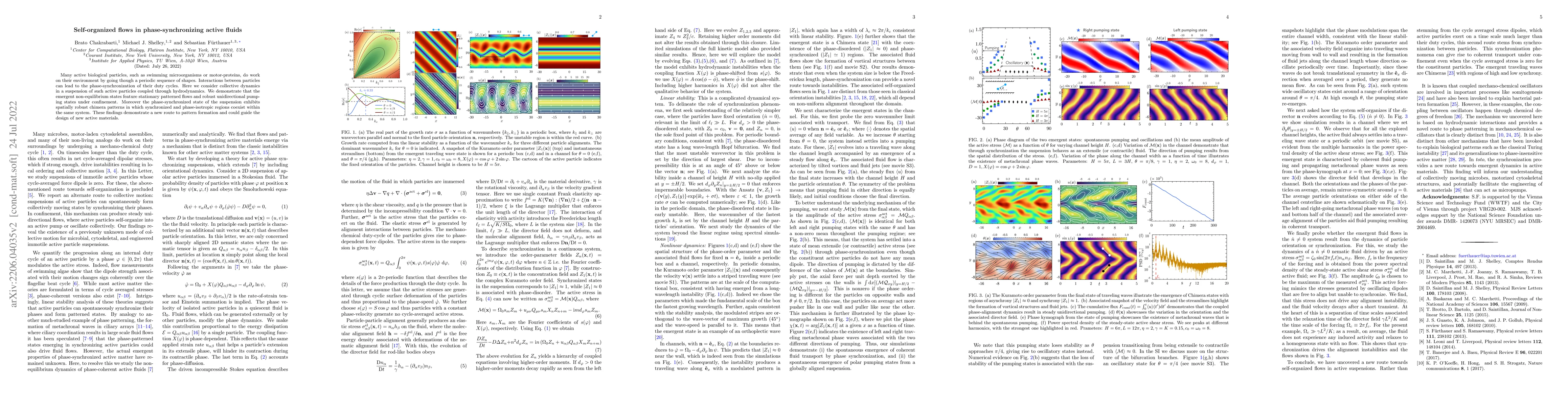 Thumbnail for Self-organized flows in phase-synchronizing active fluids