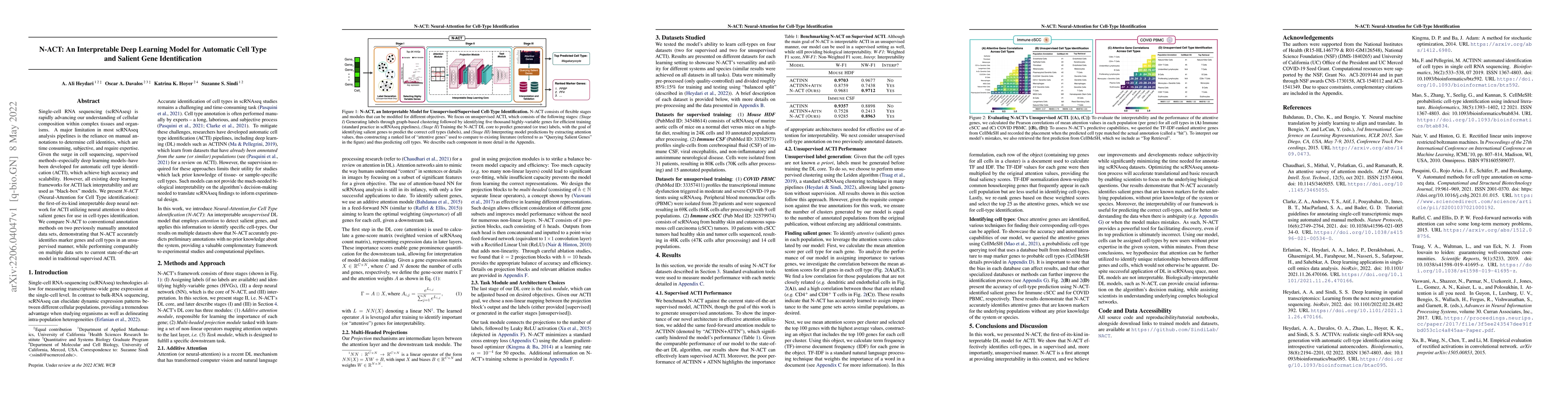Thumbnail for N-ACT: An Interpretable Deep Learning Model for Automatic Cell Type and
  Salient Gene Identification